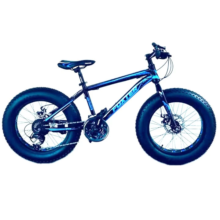 FOXTER 20 inch Fat Tyre Microshift Gear Mountain Disc Bike 21 Speed BFT20602FB-img