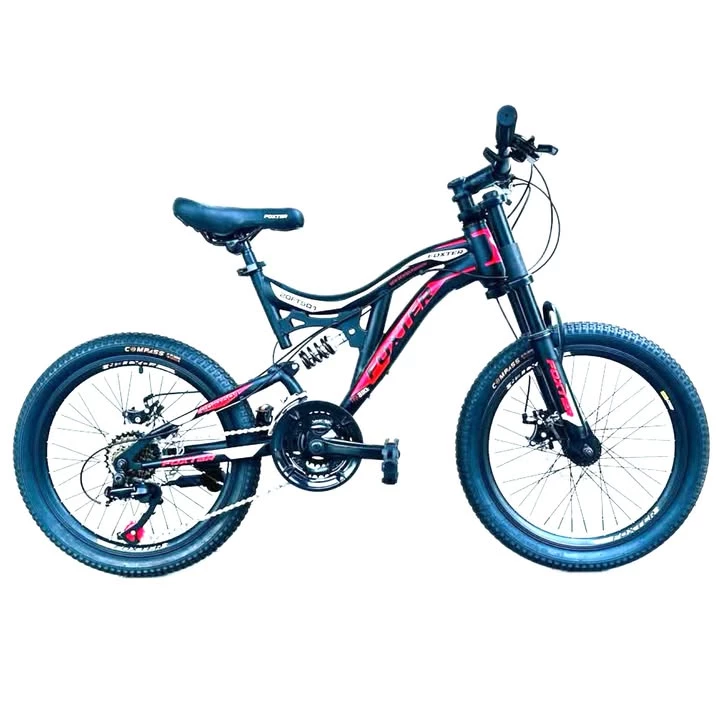 FOXTER 20 Inch Full Suspension DH Fork Disc Gear Bike BFT20FS501-img